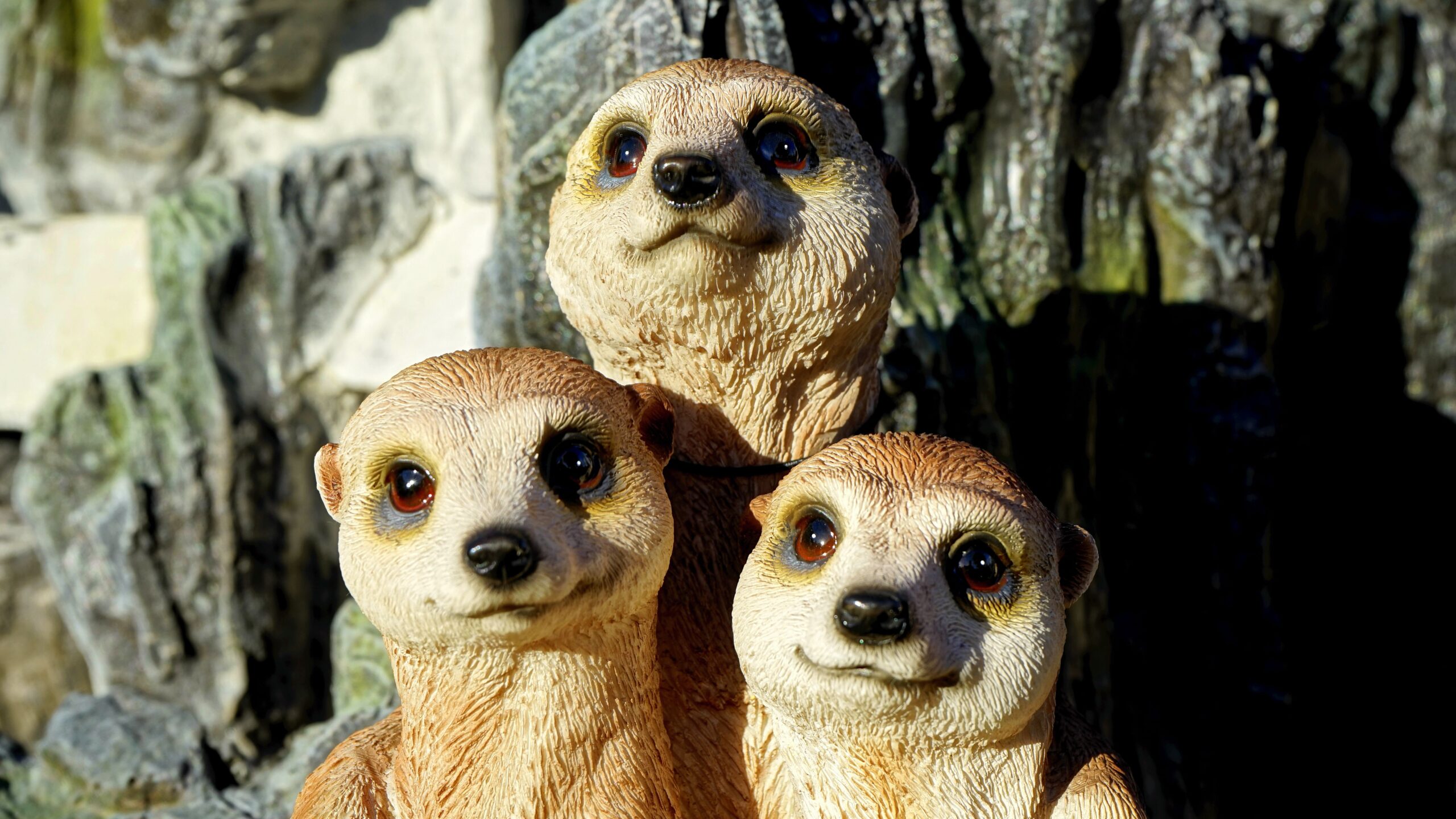 Three meerkat statues basking in bright sunlight with a rocky background.